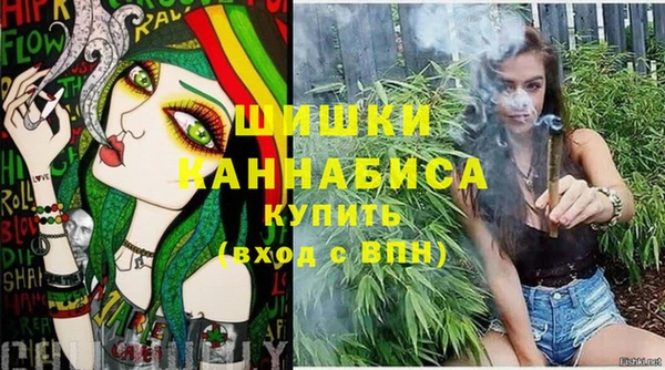 винт Щучье
