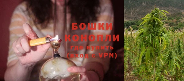 дмт Щигры