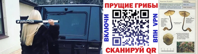 Галлюциногенные грибы прущие грибы  Купить  Мичуринск 