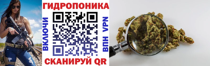 Купить где  Мичуринск  Канабис план 